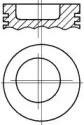 WILMINK GROUP wg1175365 -